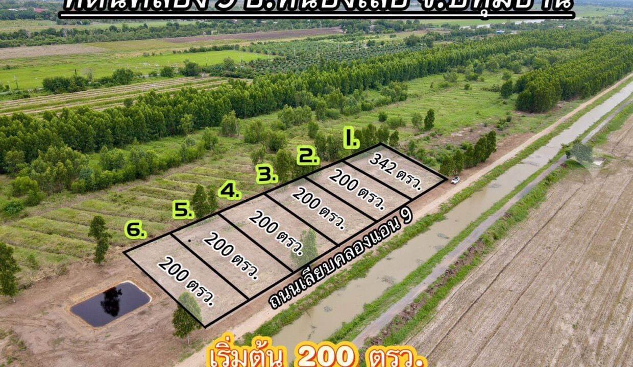 1000004082